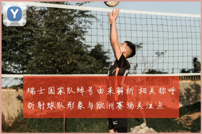 瑞士国家队绰号由来解析 相关称呼折射球队形象与欧洲赛场关注点