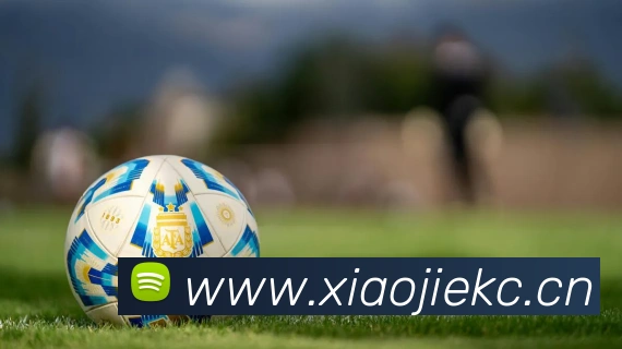 乐竞平台生态图